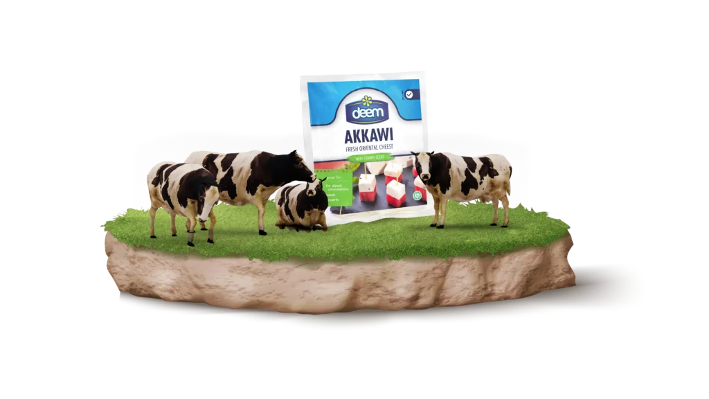 Fresh Akkawi Cheese